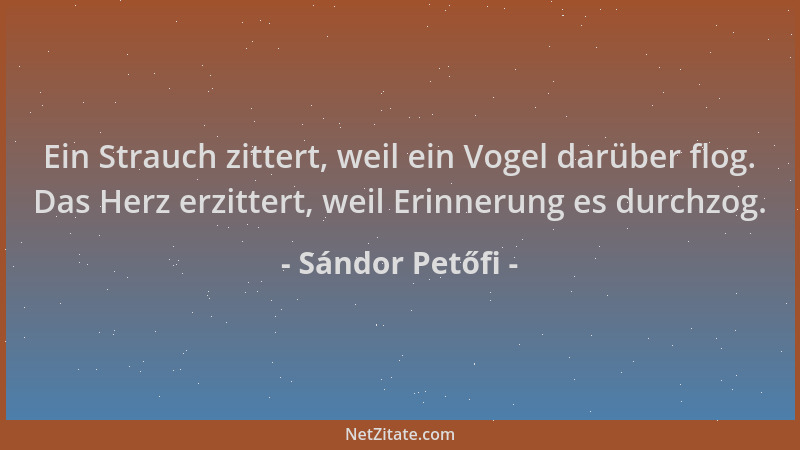 Sándor Petőfi - Ein Strauch zittert, weil ein Vogel darüber flog. Das Herz erzittert, weil Erinnerung es durchzog....