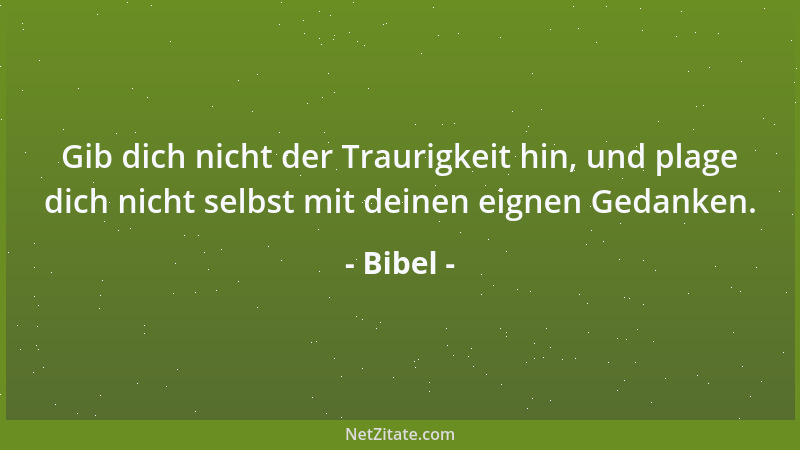 Bibel - Gib dich nicht der Traurigkeit hin, und plage dich nicht selbst mit deinen eignen Gedanken....