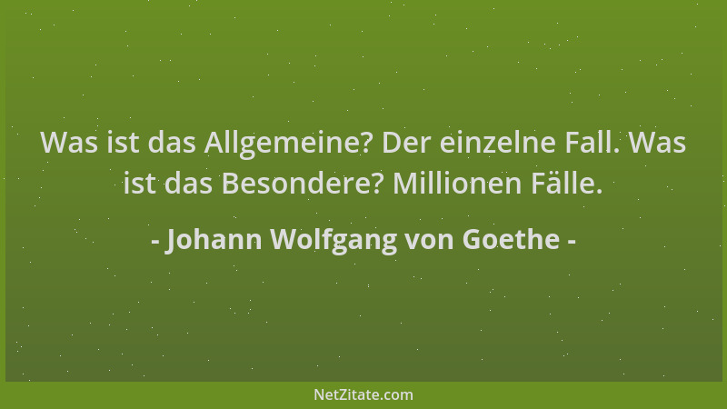 Johann Wolfgang von Goethe - Was ist das Allgemeine? Der einzelne Fall. Was ist das Besondere? Millionen Fälle....
