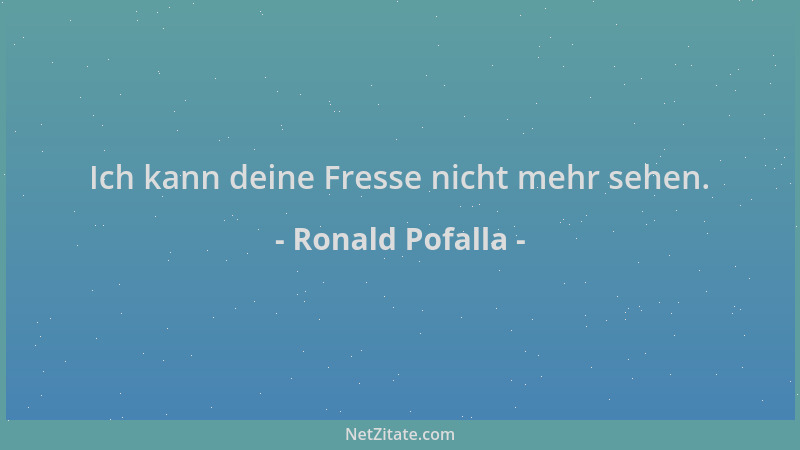 Ronald Pofalla - Ich kann deine Fresse nicht mehr sehen....