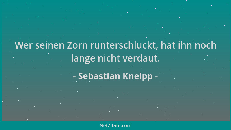 Sebastian Kneipp - Wer seinen Zorn runterschluckt, hat ihn noch lange nicht verdaut....