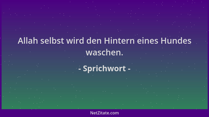 Sprichwort - Allah selbst wird den Hintern eines Hundes waschen....
