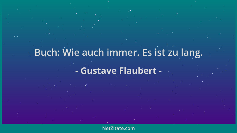 Gustave Flaubert - Buch: Wie auch immer. Es ist zu lang....