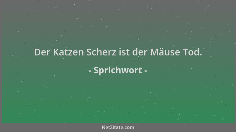 Sprichwort - Der Katzen Scherz ist der Mäuse Tod....
