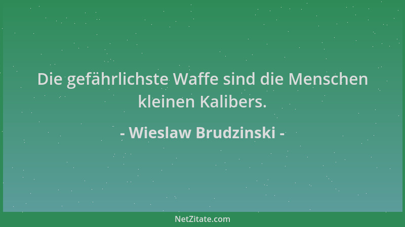 Wieslaw Brudzinski - Die gefährlichste Waffe sind die Menschen kleinen Kalibers....