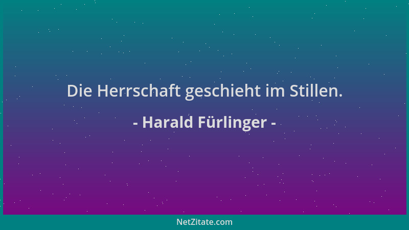 Harald Fürlinger - Die Herrschaft geschieht im Stillen....