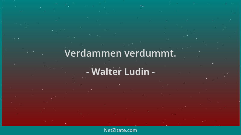 Walter Ludin - Verdammen verdummt....