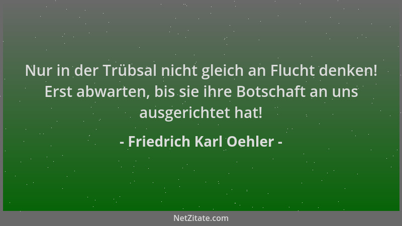 Friedrich Karl Oehler - Nur in der Trübsal nicht gleich an Flucht denken! Erst abwarten, bis sie ihre Botschaft an uns ausg...