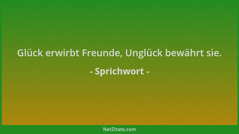 Sprichwort - Glück erwirbt Freunde, Unglück bewährt sie....
