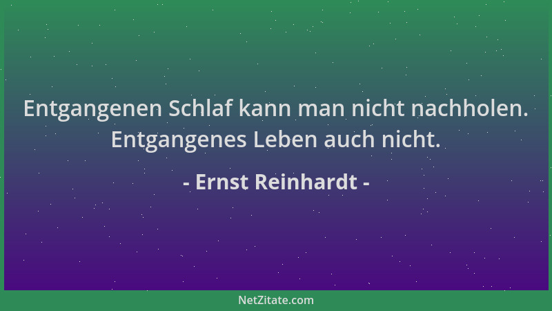 Ernst Reinhardt - Entgangenen Schlaf kann man nicht nachholen. Entgangenes Leben auch nicht....