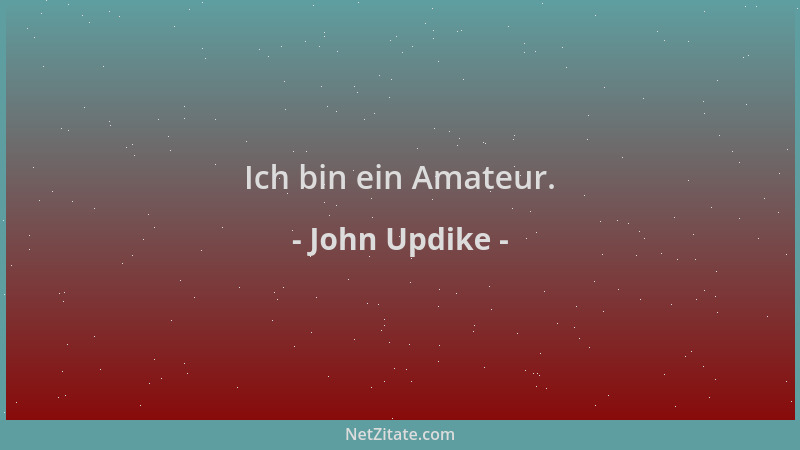 John Updike - Ich bin ein Amateur....
