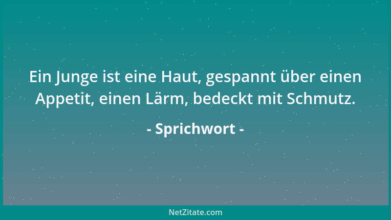 Sprichwort - Ein Junge ist eine Haut, gespannt über einen Appetit, einen Lärm, bedeckt mit Schmutz....