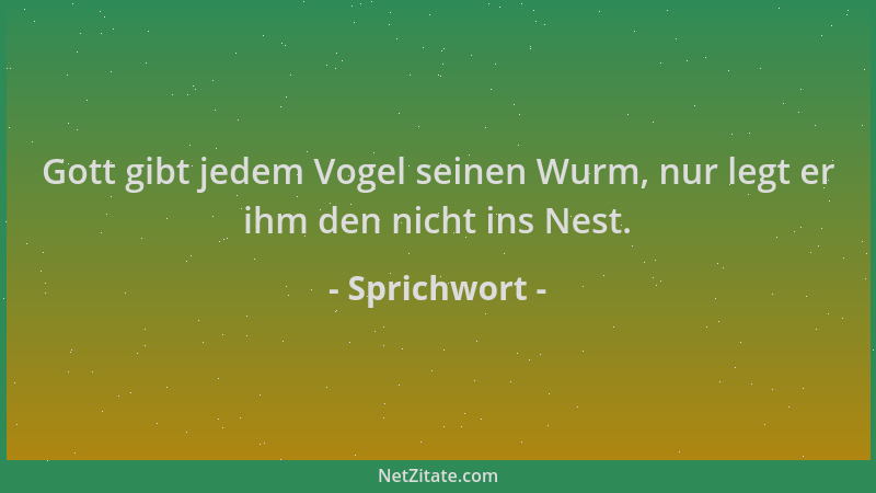 Sprichwort - Gott gibt jedem Vogel seinen Wurm, nur legt er ihm den nicht ins Nest....