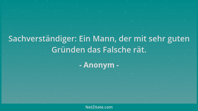Anonym - Sachverständiger: Ein Mann, der mit sehr guten Gründen das Falsche rät....