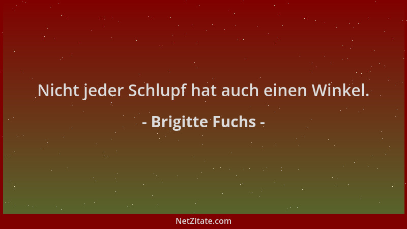 Brigitte Fuchs - Nicht jeder Schlupf hat auch einen Winkel....