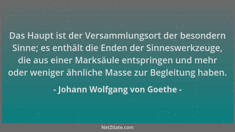 Johann Wolfgang von Goethe - Das Haupt ist der Versammlungsort der besondern Sinne; es enthält die Enden der Sinneswerkzeug...