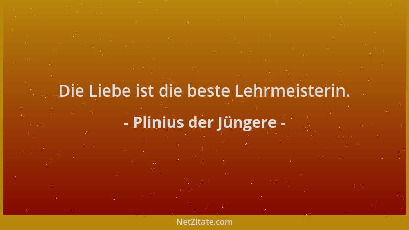 Plinius der Jüngere - Die Liebe ist die beste Lehrmeisterin....