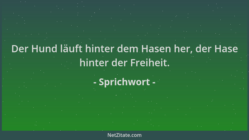 Sprichwort - Der Hund läuft hinter dem Hasen her, der Hase hinter der Freiheit....