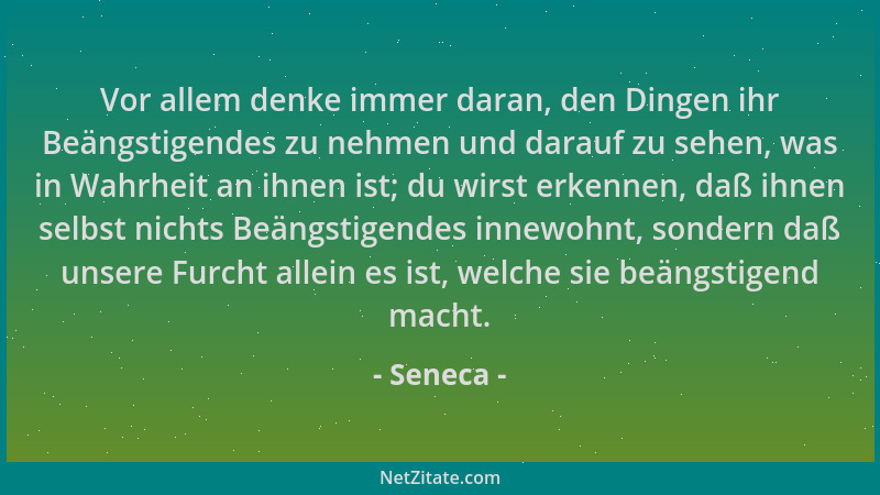 Seneca - Vor allem denke immer daran, den Dingen ihr Beängstigendes zu nehmen und darauf zu sehen, was in Wahrheit an ihnen...