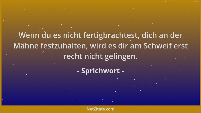 Sprichwort - Wenn du es nicht fertigbrachtest, dich an der Mähne festzuhalten, wird es dir am Schweif erst recht nicht geli...