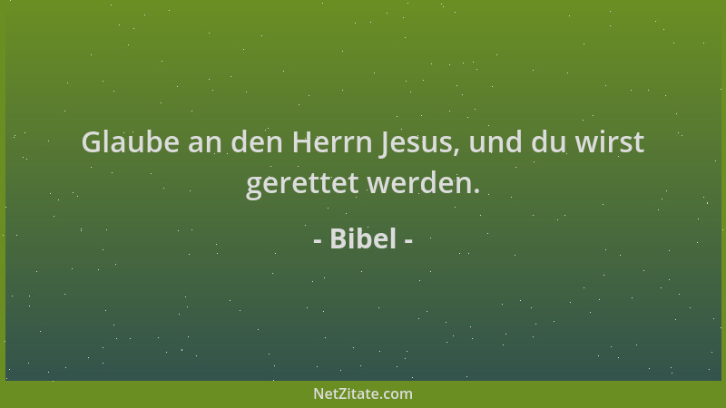 Bibel - Glaube an den Herrn Jesus, und du wirst gerettet werden....