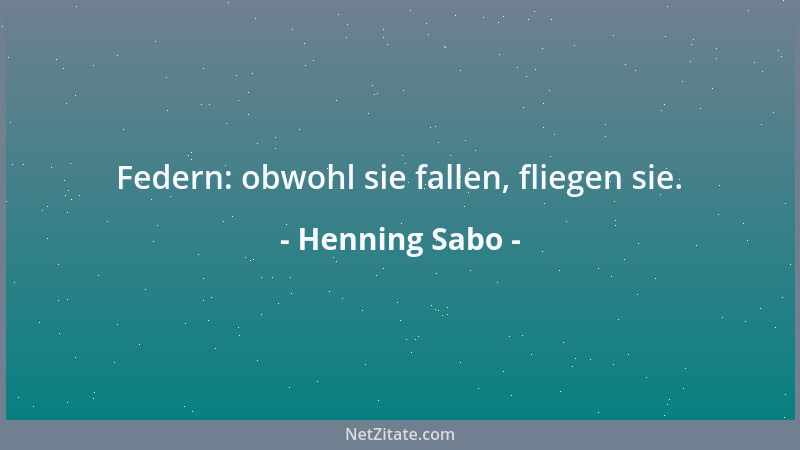 Henning Sabo - Federn: obwohl sie fallen, fliegen sie....