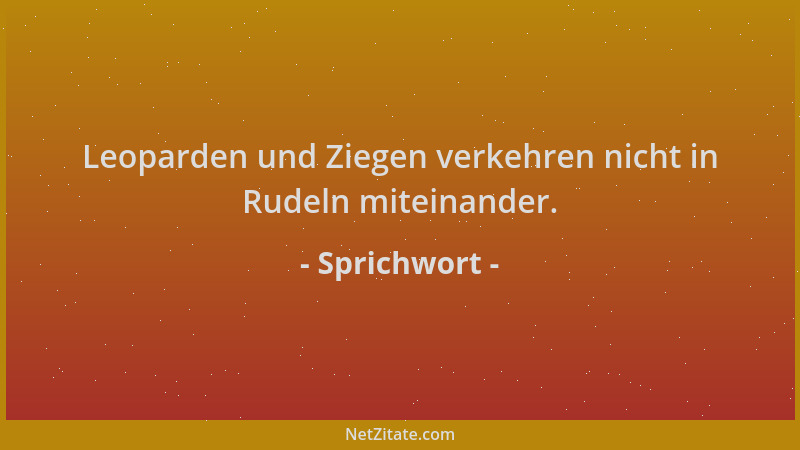 Sprichwort - Leoparden und Ziegen verkehren nicht in Rudeln miteinander....