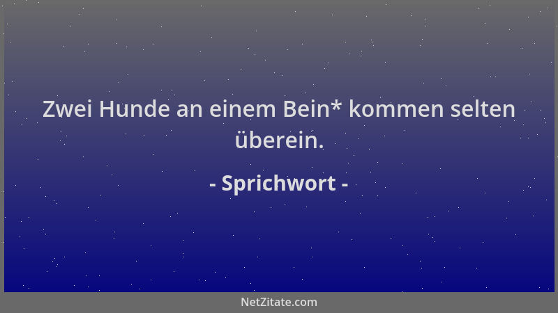 Sprichwort - Zwei Hunde an einem Bein* kommen selten überein....