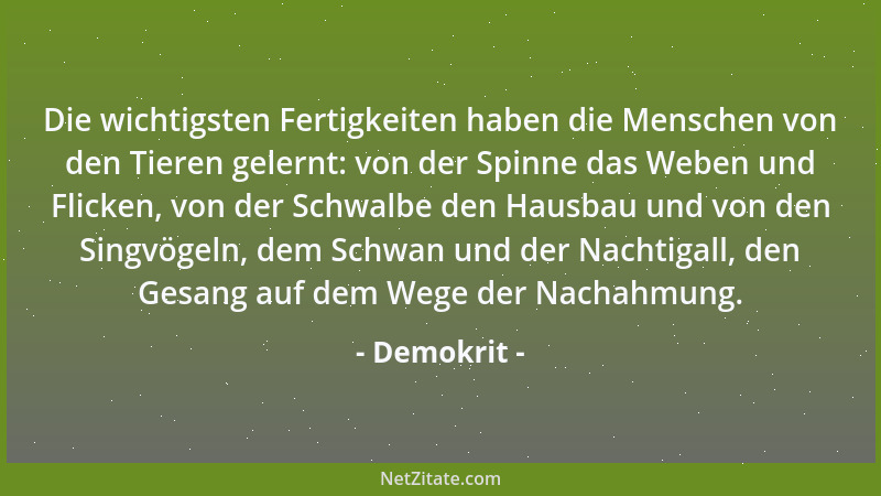 Demokrit - Die wichtigsten Fertigkeiten haben die Menschen von den Tieren gelernt: von der Spinne das Weben und Flicken, vo...