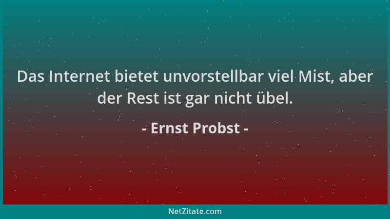 Ernst Probst - Das Internet bietet unvorstellbar viel Mist, aber der Rest ist gar nicht übel....