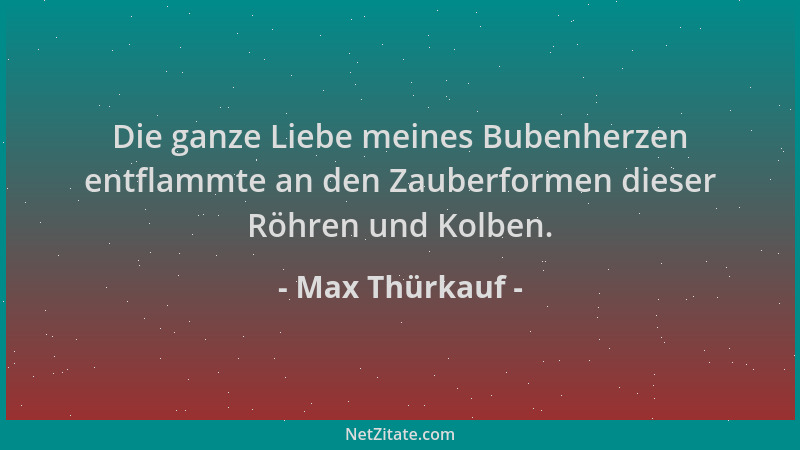 Max Thürkauf - Die ganze Liebe meines Bubenherzen entflammte an den Zauberformen dieser Röhren und Kolben....