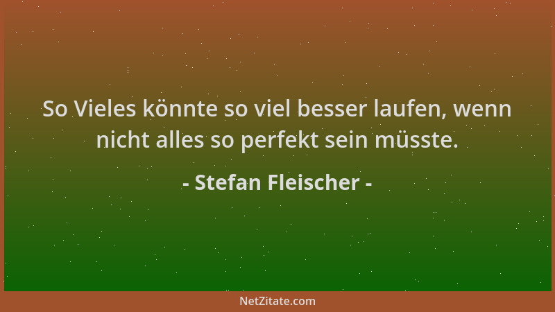 Stefan Fleischer - So Vieles könnte so viel besser laufen, wenn nicht alles so perfekt sein müsste....