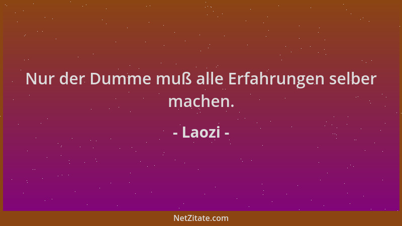 Laozi - Nur der Dumme muß alle Erfahrungen selber machen....