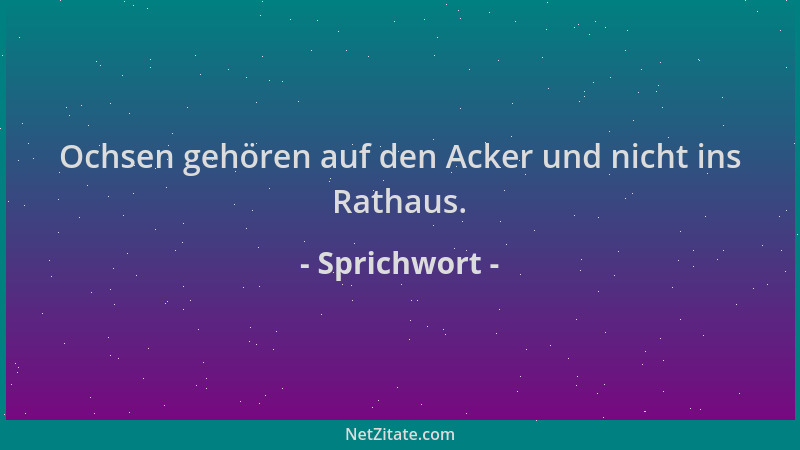 Sprichwort - Ochsen gehören auf den Acker und nicht ins Rathaus....
