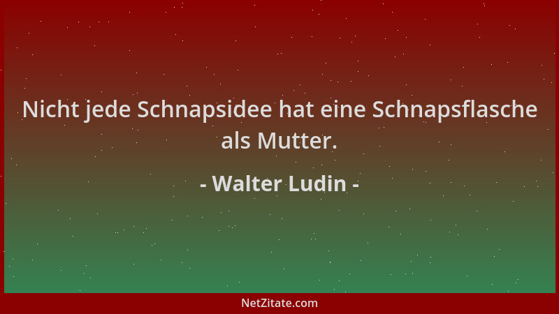 Walter Ludin - Nicht jede Schnapsidee hat eine Schnapsflasche als Mutter....