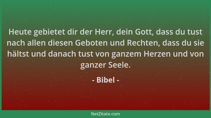 Bibel - Heute gebietet dir der Herr, dein Gott, dass du tust nach allen diesen Geboten und Rechten, dass du sie hältst und...