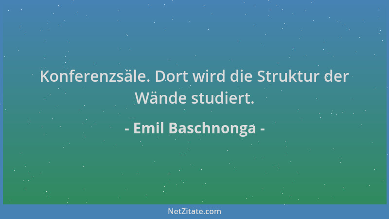 Emil Baschnonga - Konferenzsäle. Dort wird die Struktur der Wände studiert....