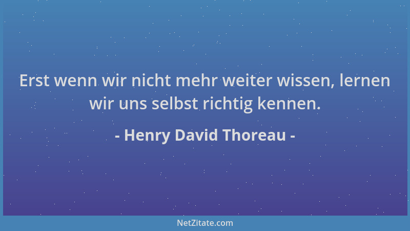 Henry David Thoreau - Erst wenn wir nicht mehr weiter wissen, lernen wir uns selbst richtig kennen....