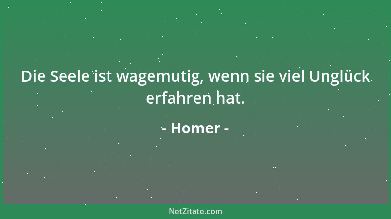Homer - Die Seele ist wagemutig, wenn sie viel Unglück erfahren hat....