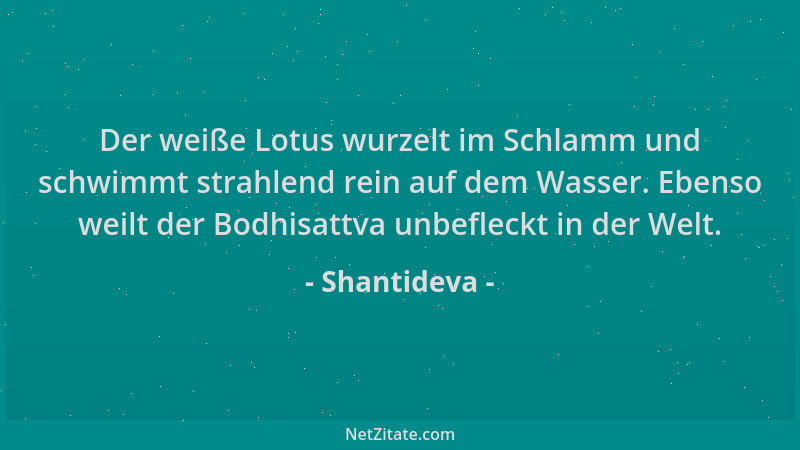 Shantideva - Der weiße Lotus wurzelt im Schlamm und schwimmt strahlend rein auf dem Wasser. Ebenso weilt der Bodhisattva un...