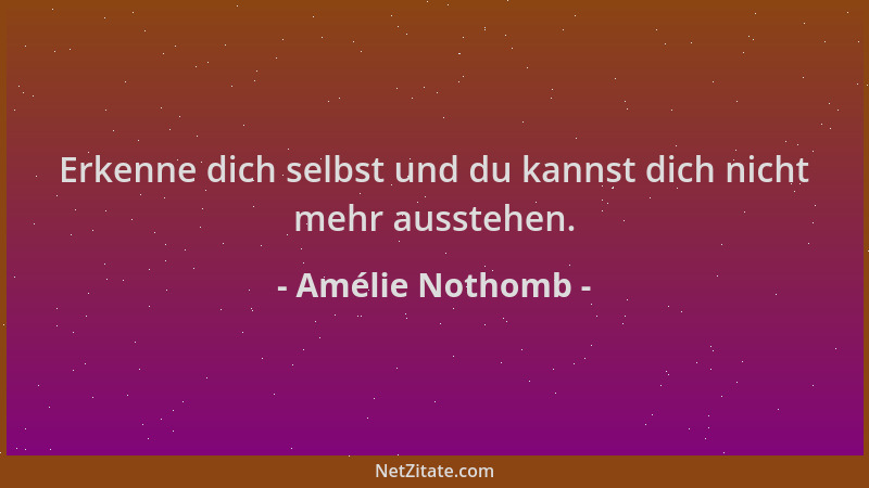 Amélie Nothomb - Erkenne dich selbst und du kannst dich nicht mehr ausstehen....