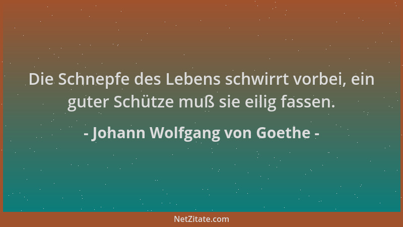 Johann Wolfgang von Goethe - Die Schnepfe des Lebens schwirrt vorbei, ein guter Schütze muß sie eilig fassen....