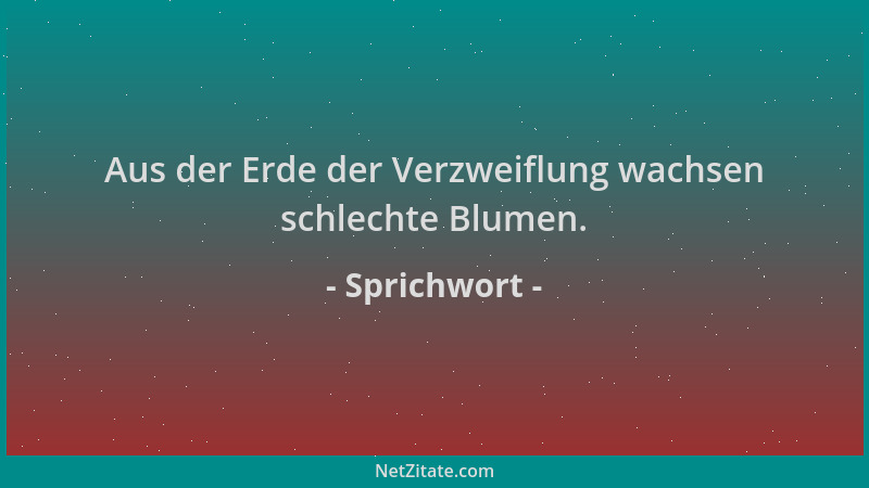 Sprichwort - Aus der Erde der Verzweiflung wachsen schlechte Blumen....