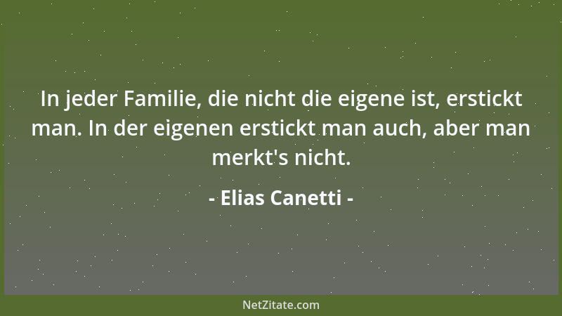 Elias Canetti - In jeder Familie, die nicht die eigene ist, erstickt man. In der eigenen erstickt man auch, aber man merkt '...