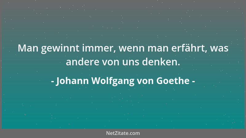 Johann Wolfgang von Goethe - Vom Ziel haben viele Menschen einen Begriff, nur möchten sie es gern schlendernd auf irrgängli...