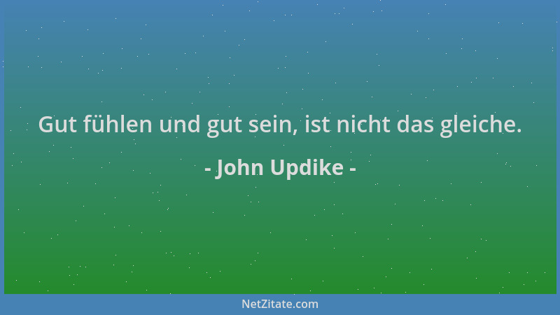 John Updike - Gut fühlen und gut sein, ist nicht das gleiche....