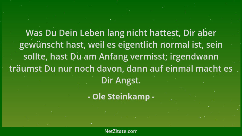 Ole Steinkamp - Was Du Dein Leben lang nicht hattest, Dir aber gewünscht hast, weil es eigentlich normal ist, sein sollte,...