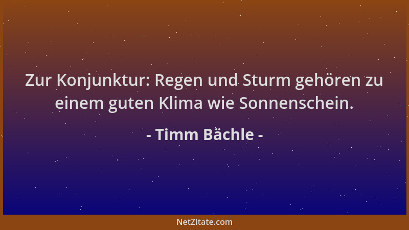 Timm Bächle - Zur Konjunktur: Regen und Sturm gehören zu einem guten Klima wie Sonnenschein....