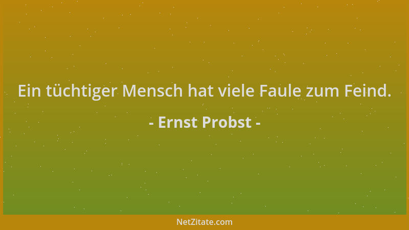 Ernst Probst - Ein tüchtiger Mensch hat viele Faule zum Feind....
