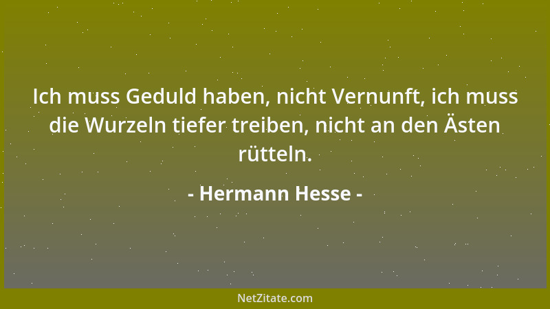 Hermann Hesse - Ich muss Geduld haben, nicht Vernunft, ich muss die Wurzeln tiefer treiben, nicht an den Ästen rütteln....